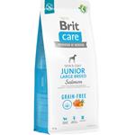 Brit Care Dog Grain-free Junior Large Breed Salmon 2x12 kg