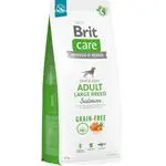 Brit Care Dog Grain-free Adult Large Breed Salmon 2x12 kg