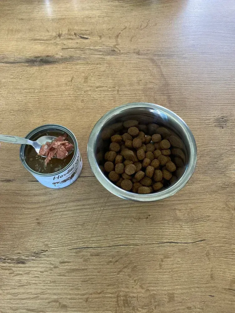 BOHEMIA Krocan C 10kg