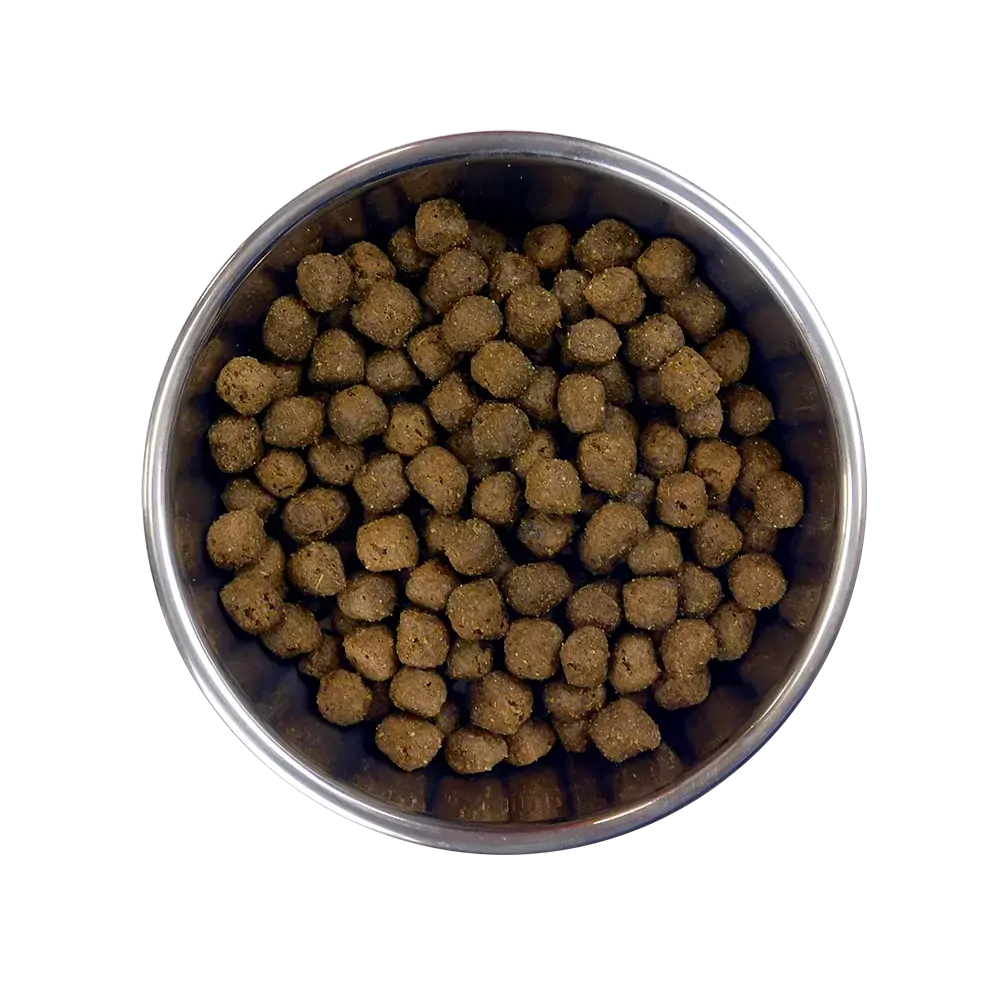 BARKING HEADS All Hounder Fuss Pot Duck 2kg 