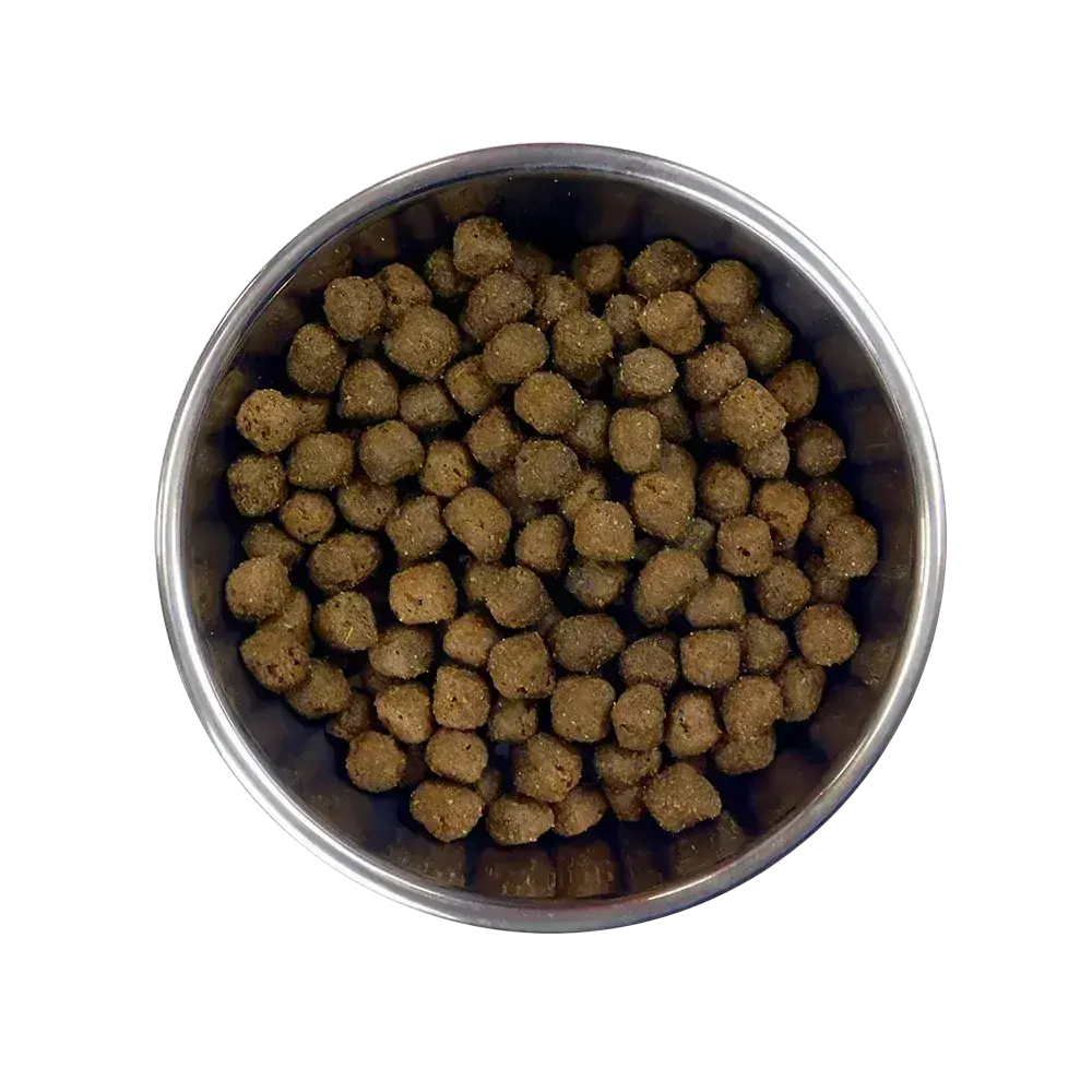 BARKING HEADS All Hounder Fuss Pot Duck 12kg 