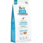 Brit Care Dog Grain-free Junior Large Breed Salmon 12 kg