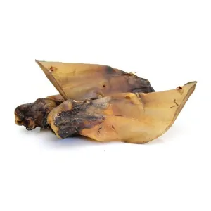 Hovězí ucho - sušené 3 ks