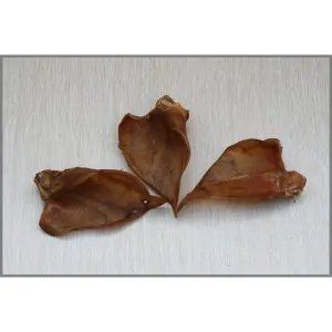 Vepřové ucho - sušené 3 ks