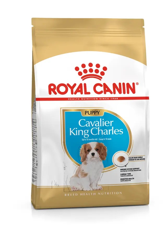 Royal Canin Breed Kavalír King Charles puppy 1,5kg