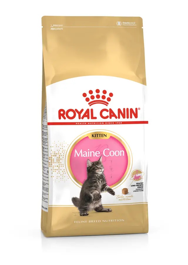 Royal Canin Breed Feline Kitten Maine Coon 10kg