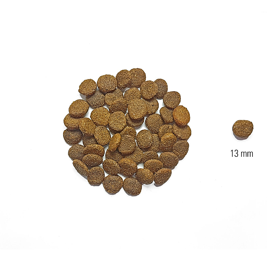 Dog's Love granule Losos Adult NEW 2kg