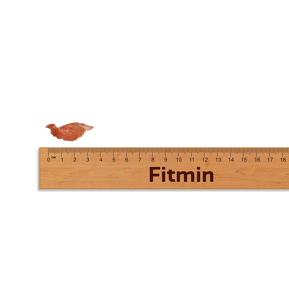 Fitmin For Life Králičí mini kroužky pochoutka pro malé psy a kočky 70 g