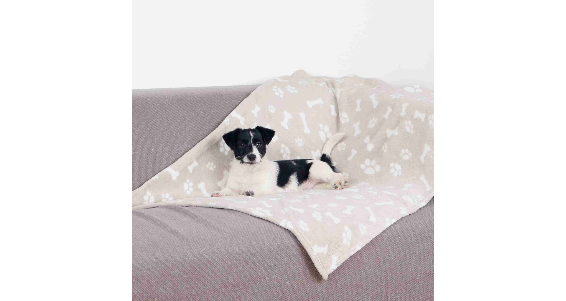 Deka pro psy KENNY béžová a kostičky 100x75cm TR 