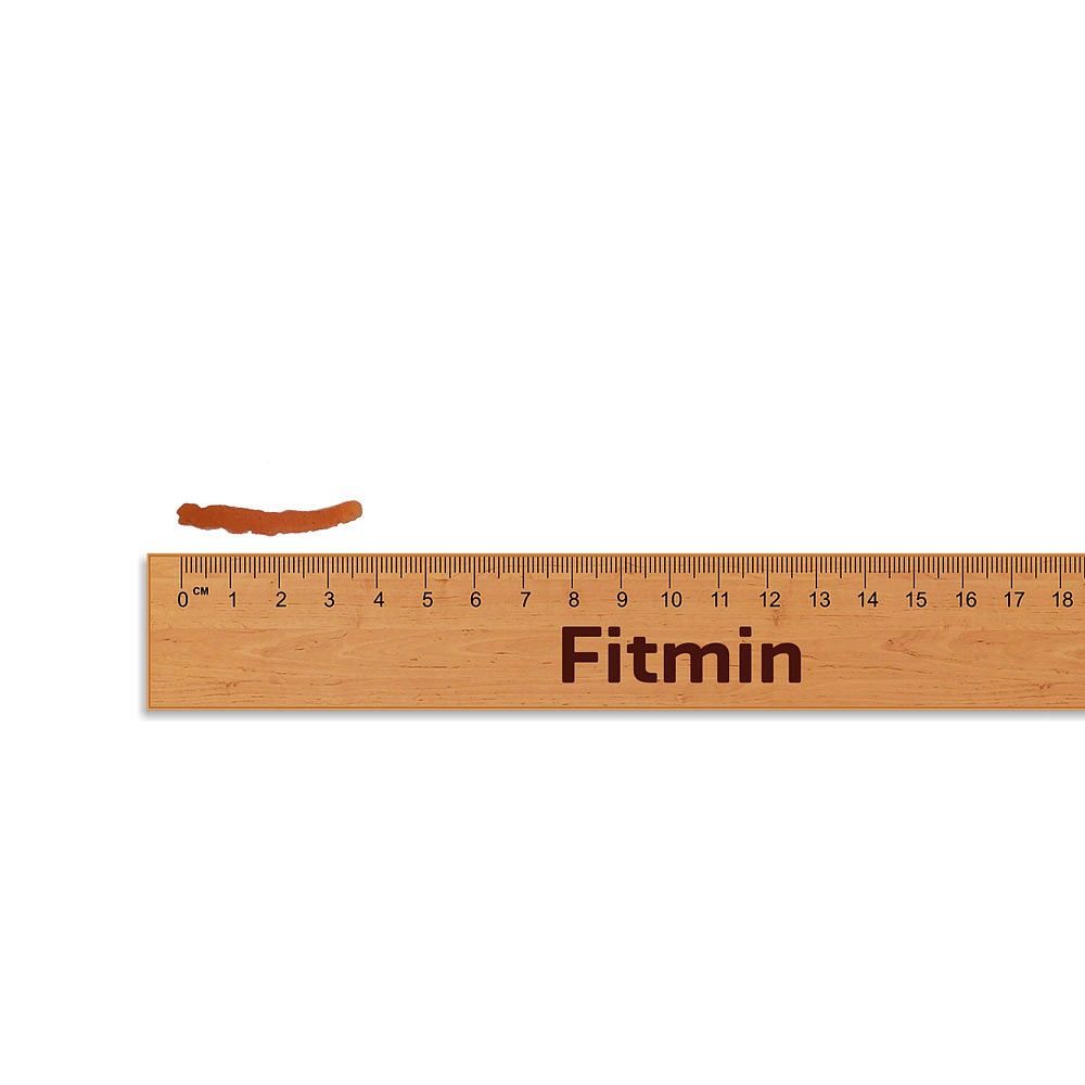 Fitmin For Life Jerky lososová pochoutka pro malé psy a kočky 70 g